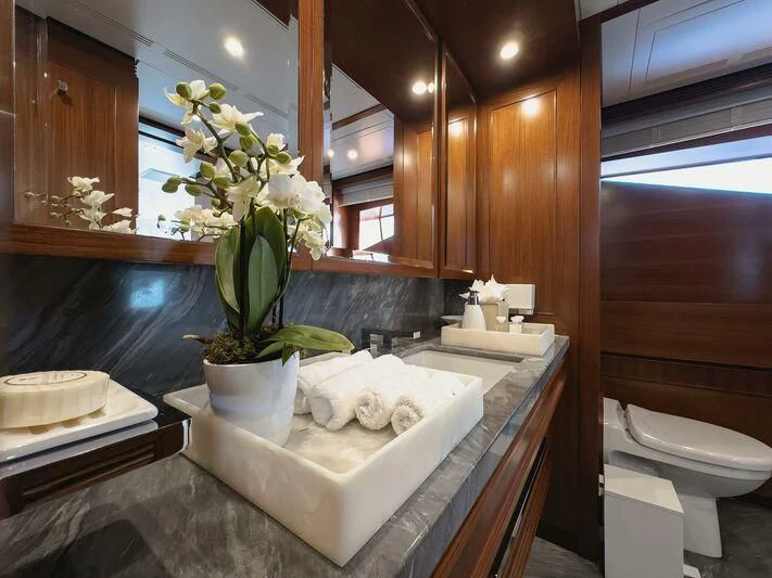 a bathroom with a large sink and a plant in a pot aboard NEW WAVES Yacht for Sale