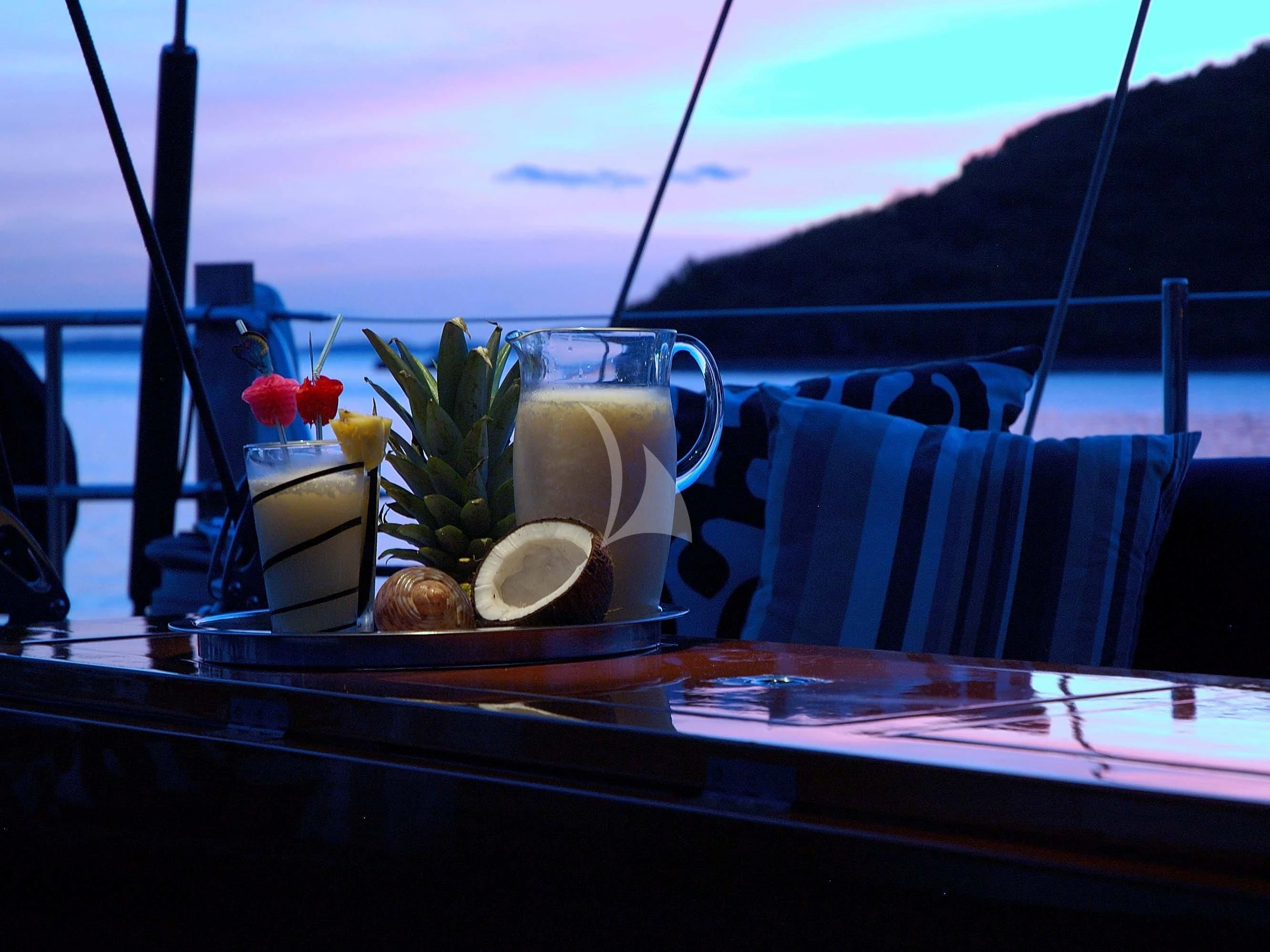 a glass of liquid and a plant on a table aboard DARK STAR OF LONDON Yacht for Charter