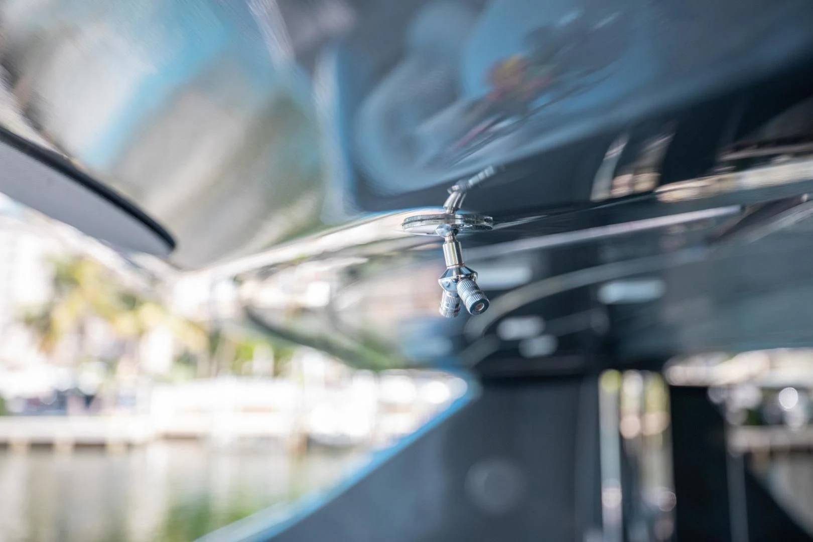 a spider on a web aboard AMORA Yacht for Sale