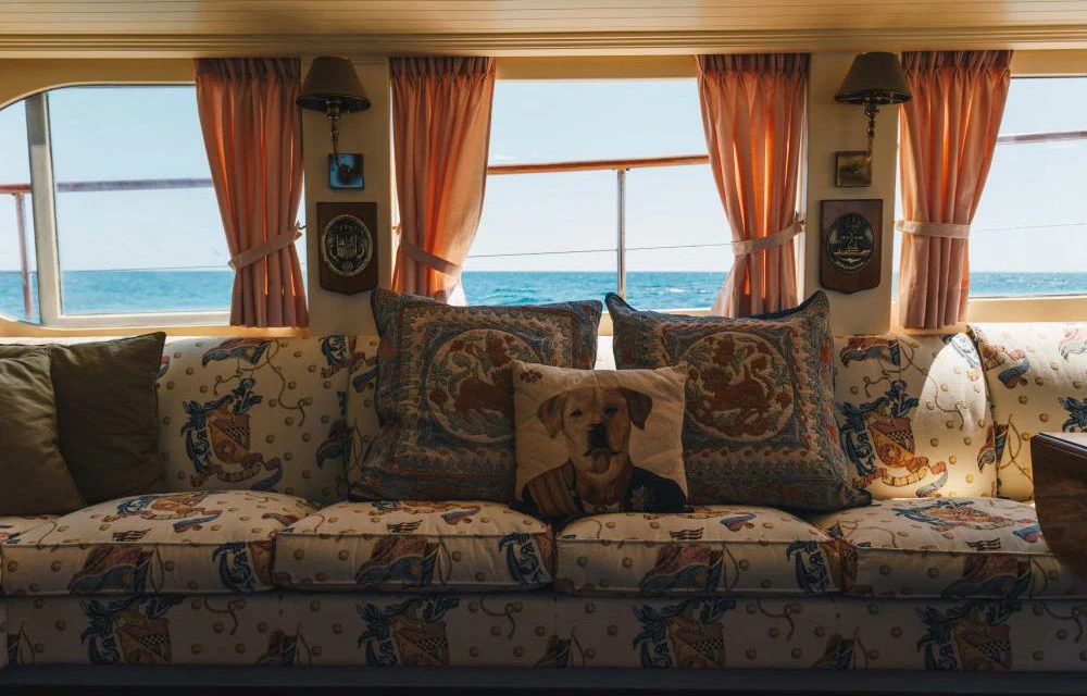 a dog sitting on a couch aboard SILVER CAVALIER Yacht for Sale
