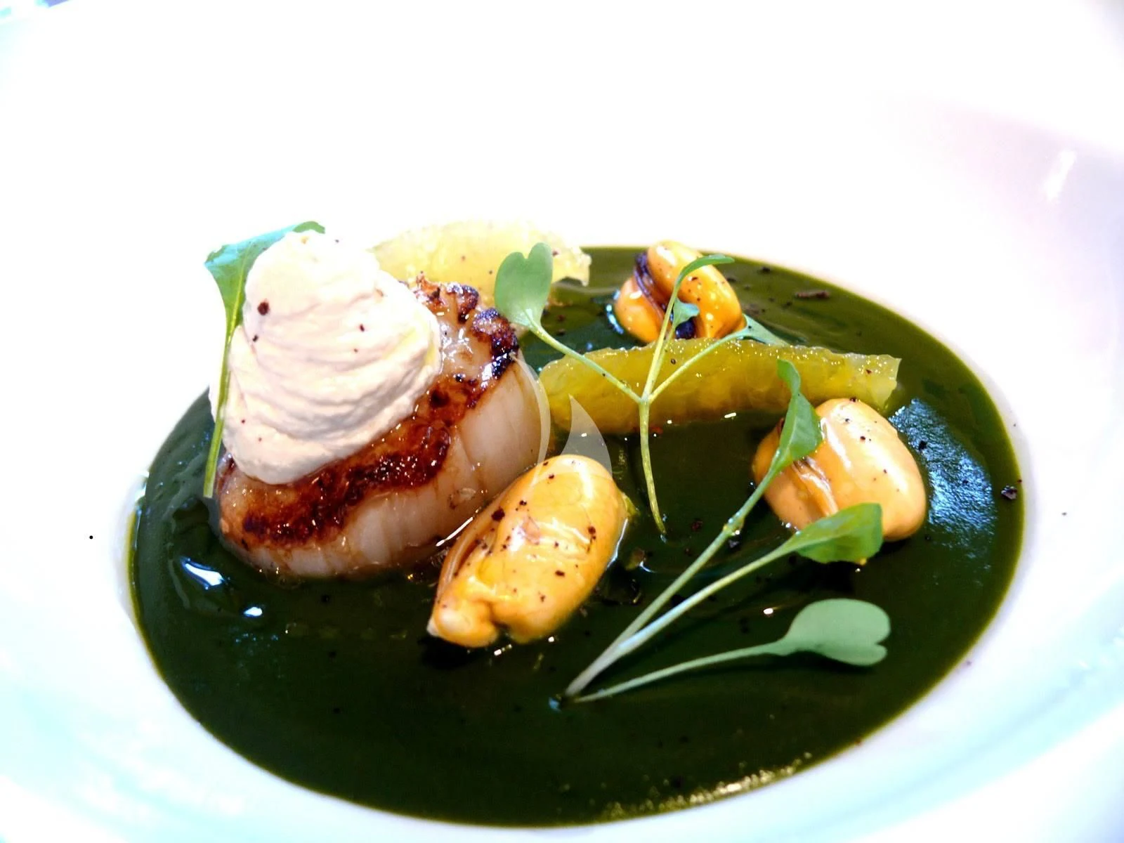 a plate of food aboard ALTHEA Yacht for Sale