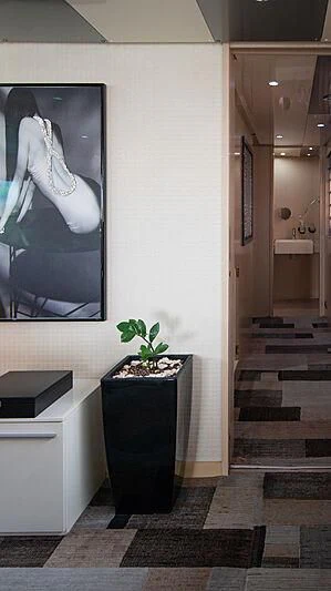 a plant in a pot on a black box in a room aboard SOFIA Y Yacht for Sale
