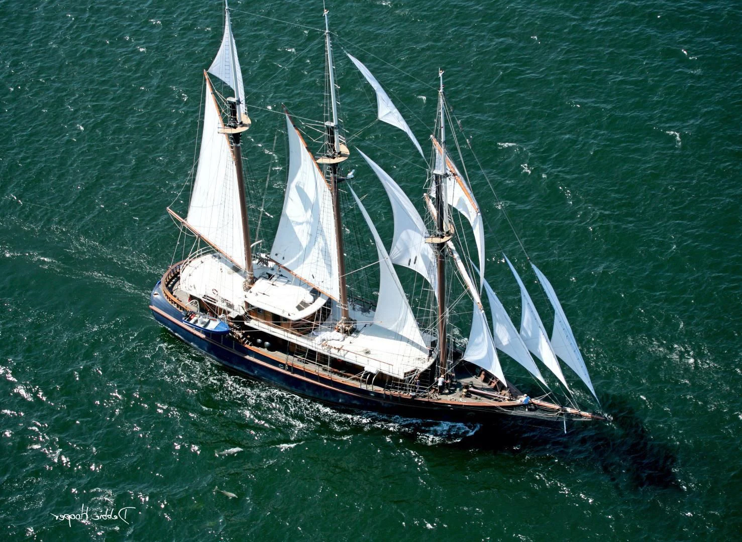 a sailboat on the water aboard PEACEMAKER Yacht for Sale