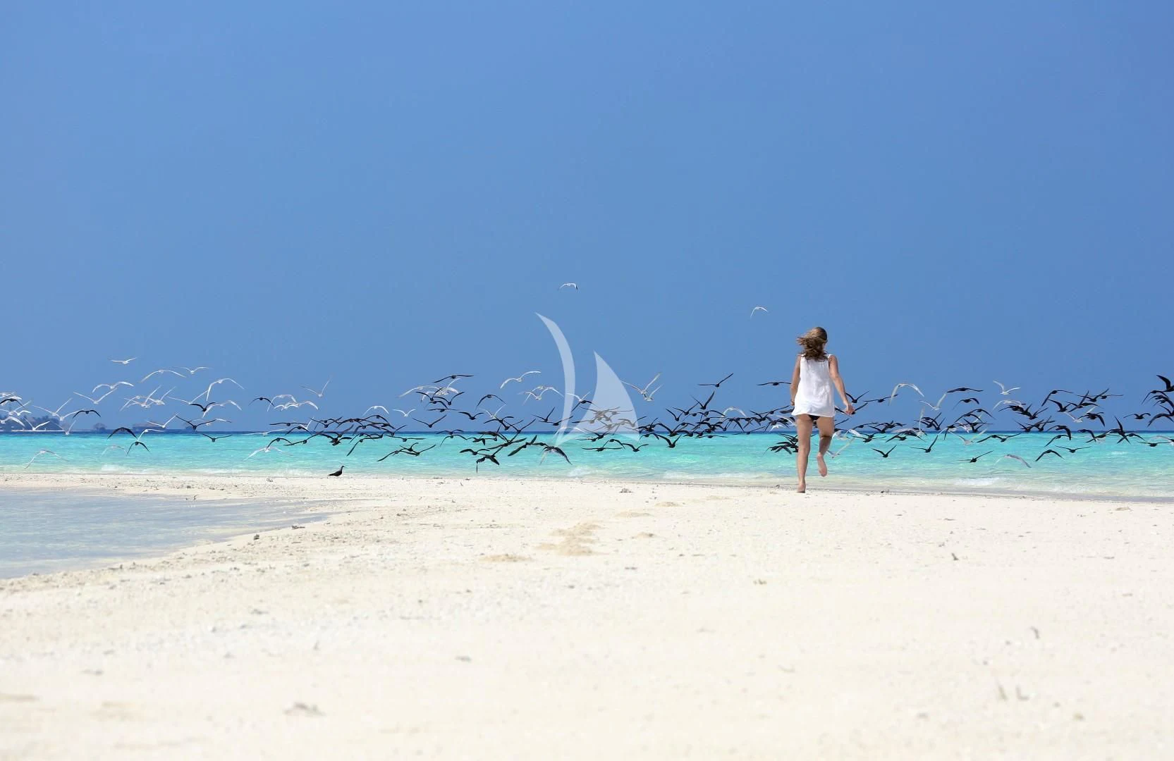 a person walking on a beach aboard AZALEA Yacht for Sale