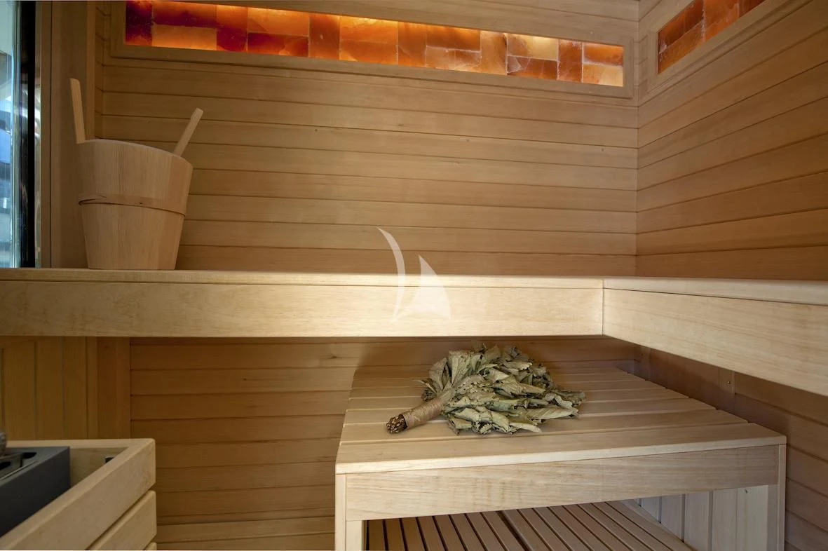 a lizard on a wood shelf aboard SCORPION Yacht for Charter