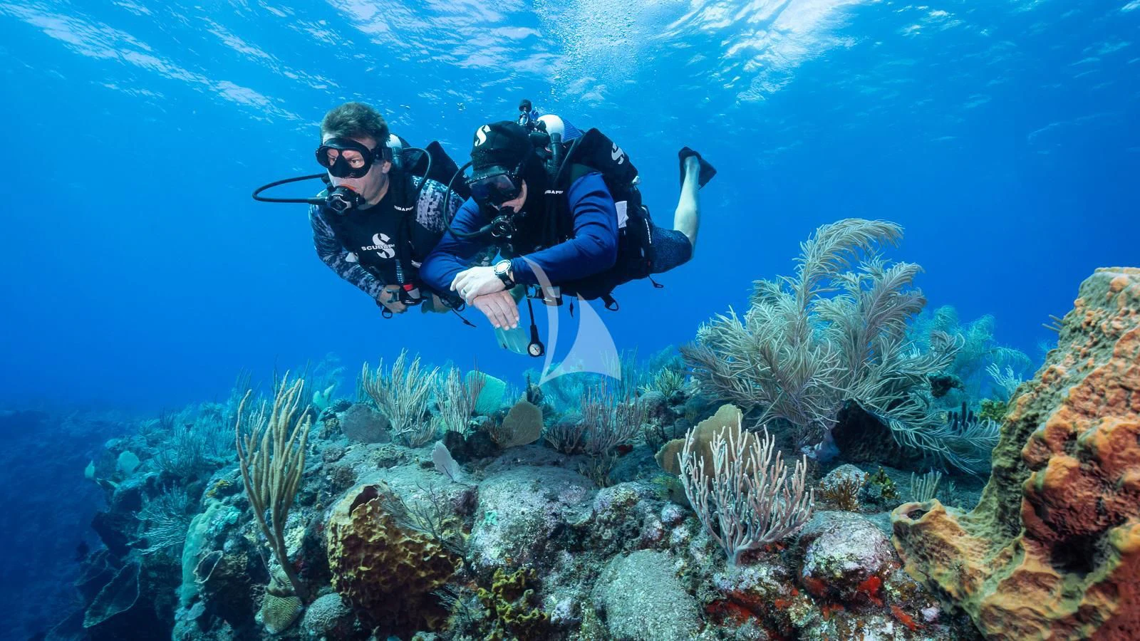 a man and a woman scuba diving aboard LADY BETH Yacht for Sale