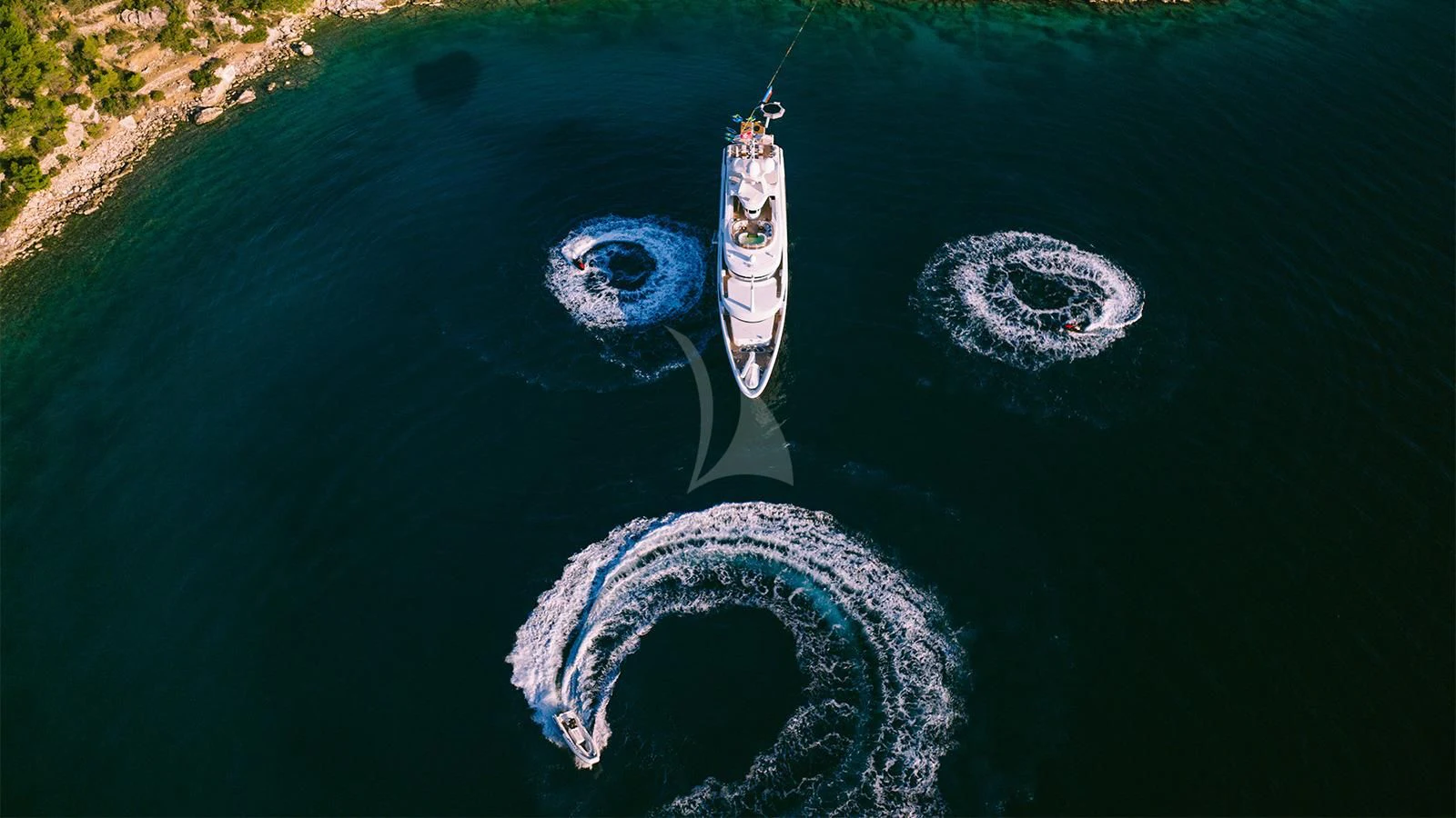 a blue and white striped fish in a pond aboard DILARA Yacht for Sale