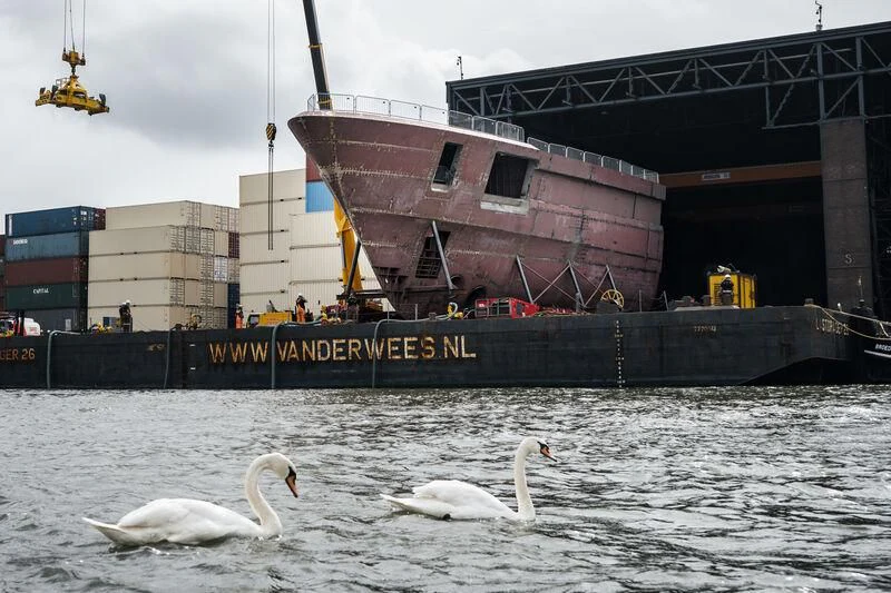 a couple swans in water aboard DRIZZLE Yacht for Sale