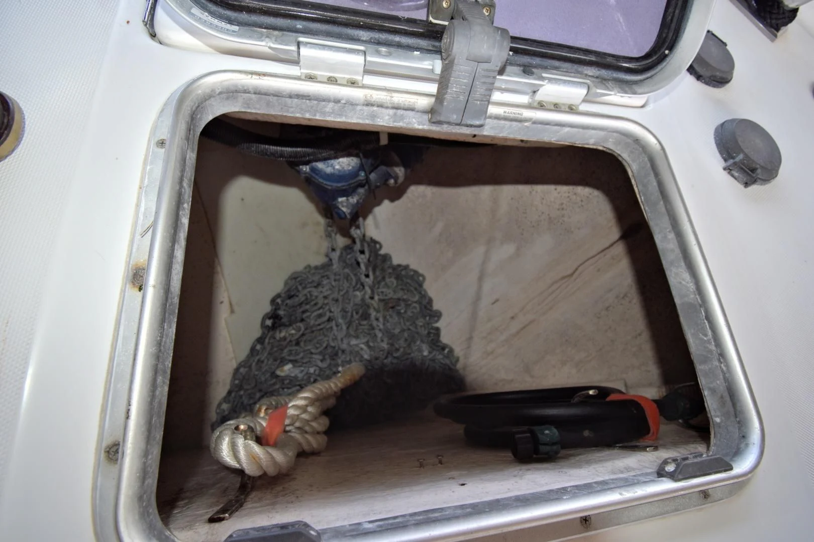 a lizard in a car aboard CLEW LESS Yacht for Sale