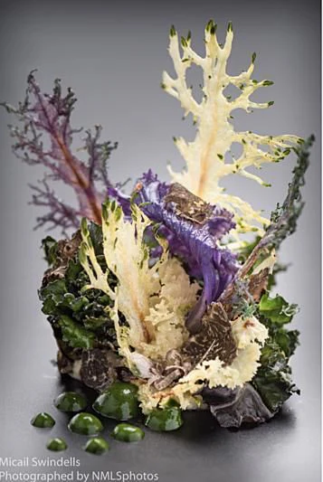 a plant with purple and green leaves aboard ETERNITY Yacht for Sale