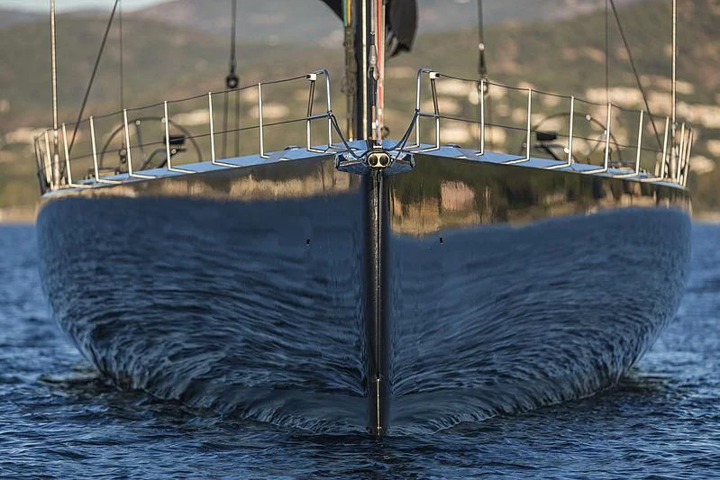 a dolphin jumping out of the water aboard V Yacht for Sale