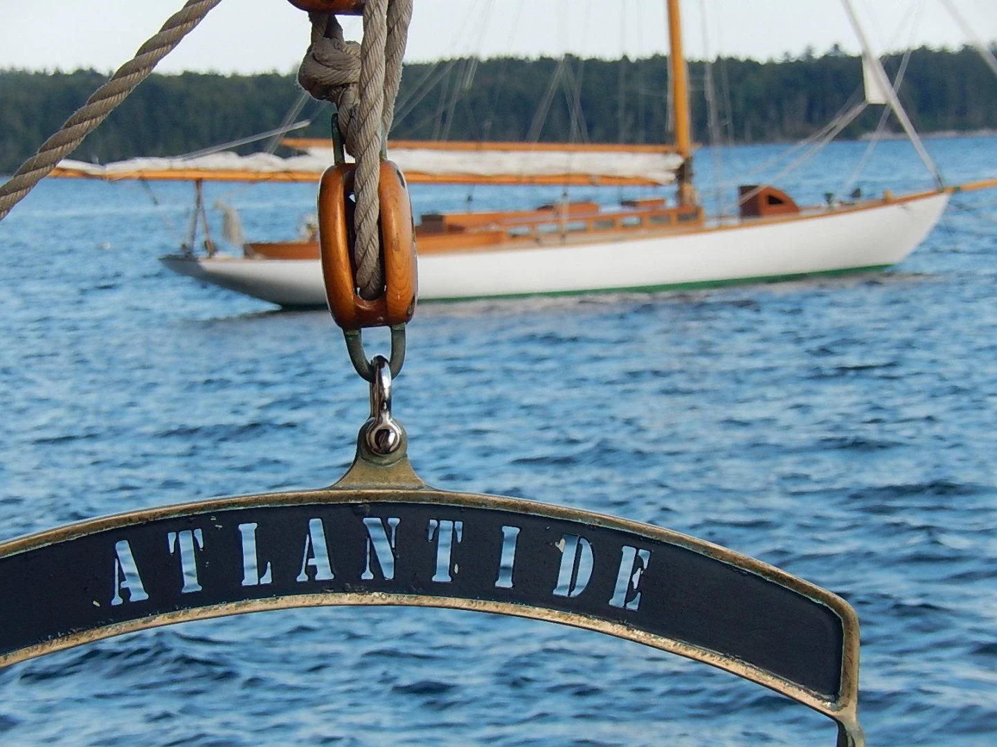 a fish on a boat aboard ATLANTIDE Yacht for Sale