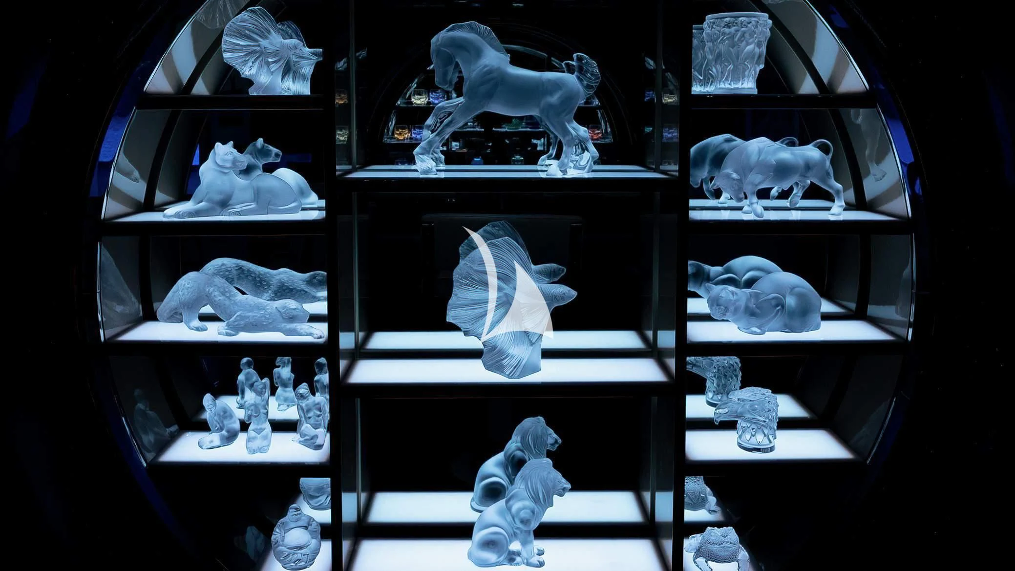 a group of white cats on shelves aboard SCOTT FREE Yacht for Charter