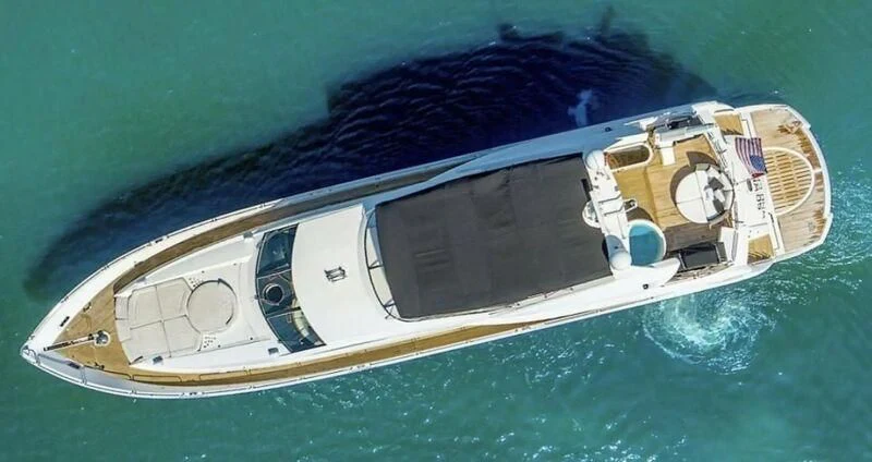 a high angle view of a ship aboard SO WHAT WHO CARES Yacht for Sale