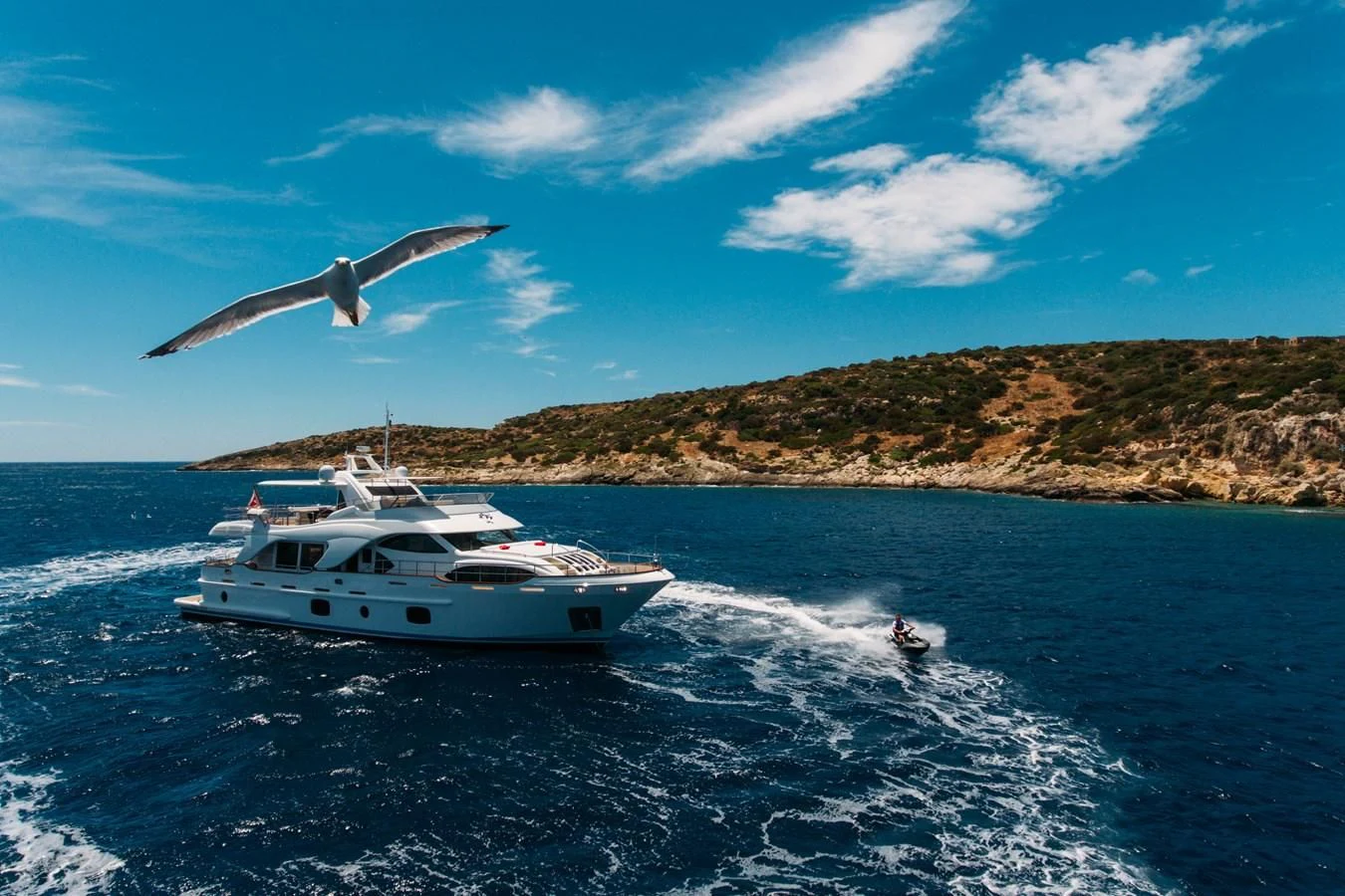 a seagull flying over a boat on the water aboard REBECCA V Yacht for Sale