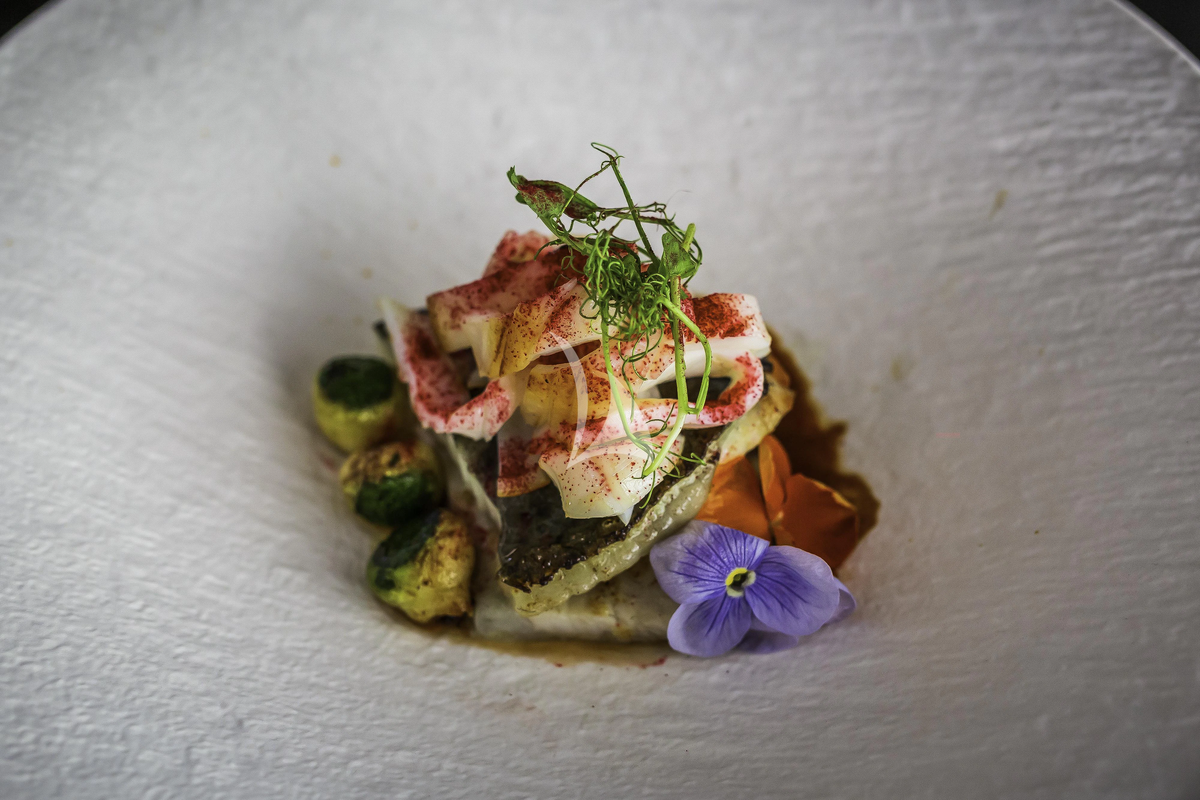 a small plant in a pot aboard OCEAN DRIVE Yacht for Charter