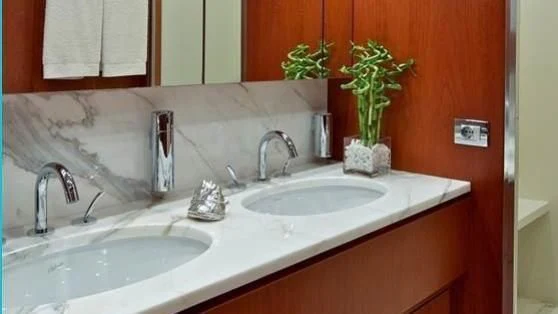 a bathroom with a sink and a plant in a pot aboard BIANCA Yacht for Sale