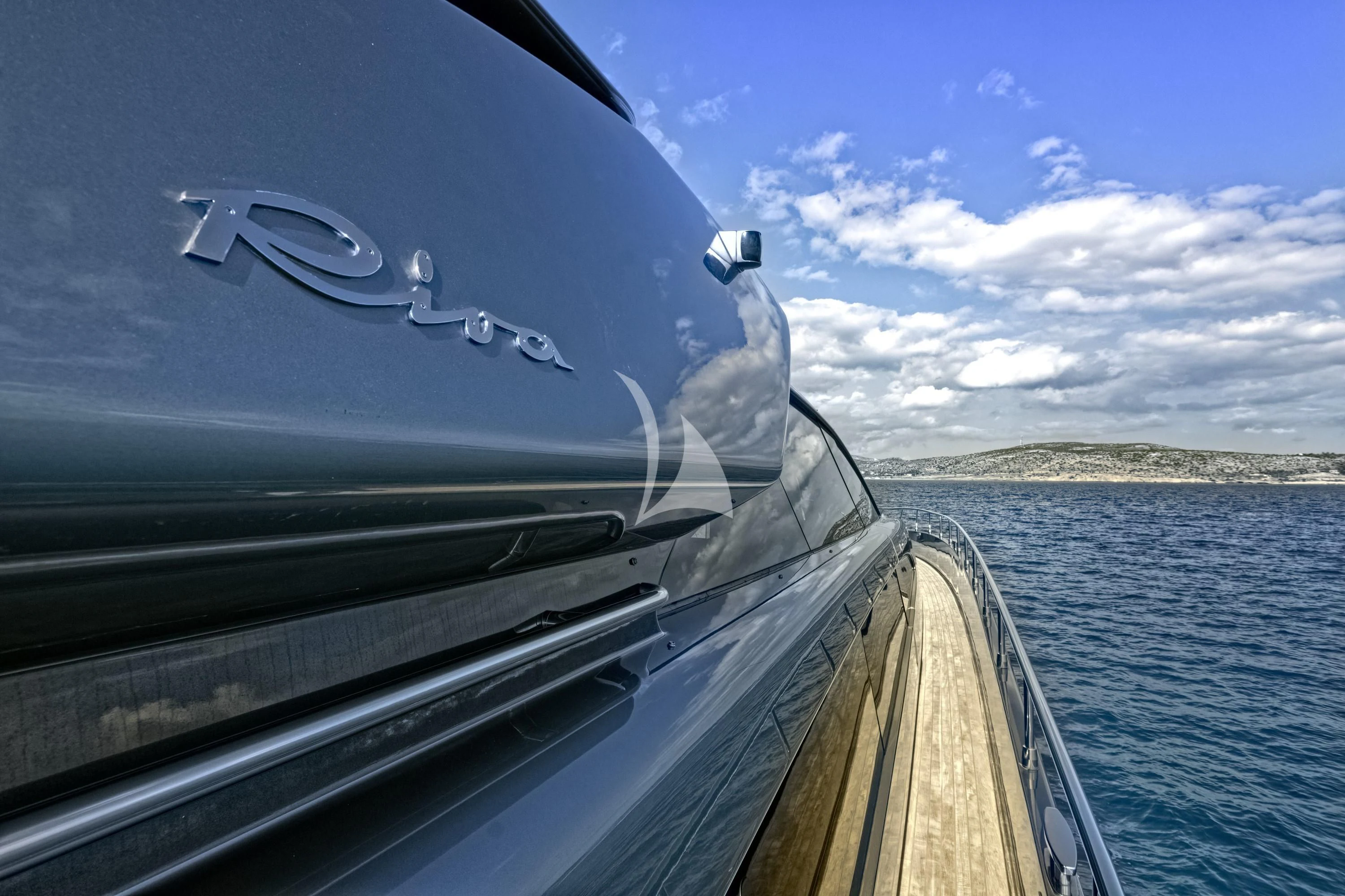 a dolphin on a boat aboard WHATEVER Yacht for Charter