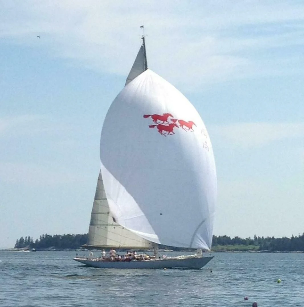 a sailboat on the water aboard WILD HORSES Yacht for Sale