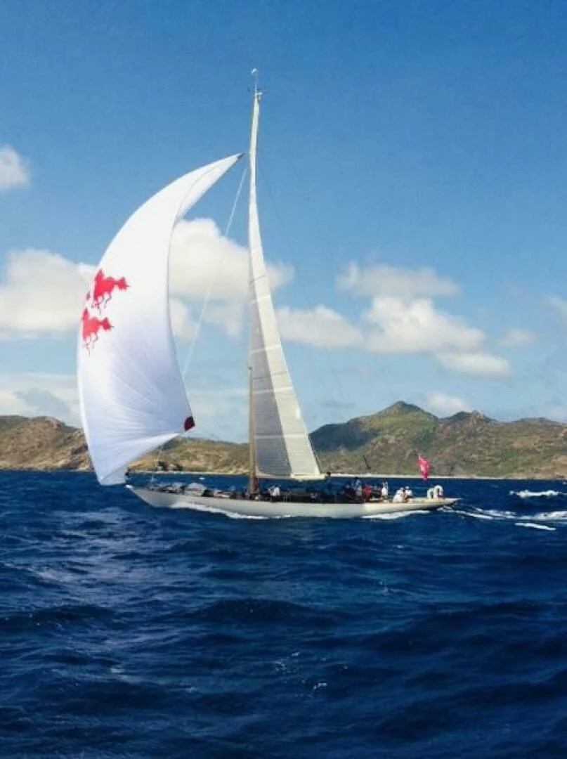 a sailboat on the water aboard WILD HORSES Yacht for Sale