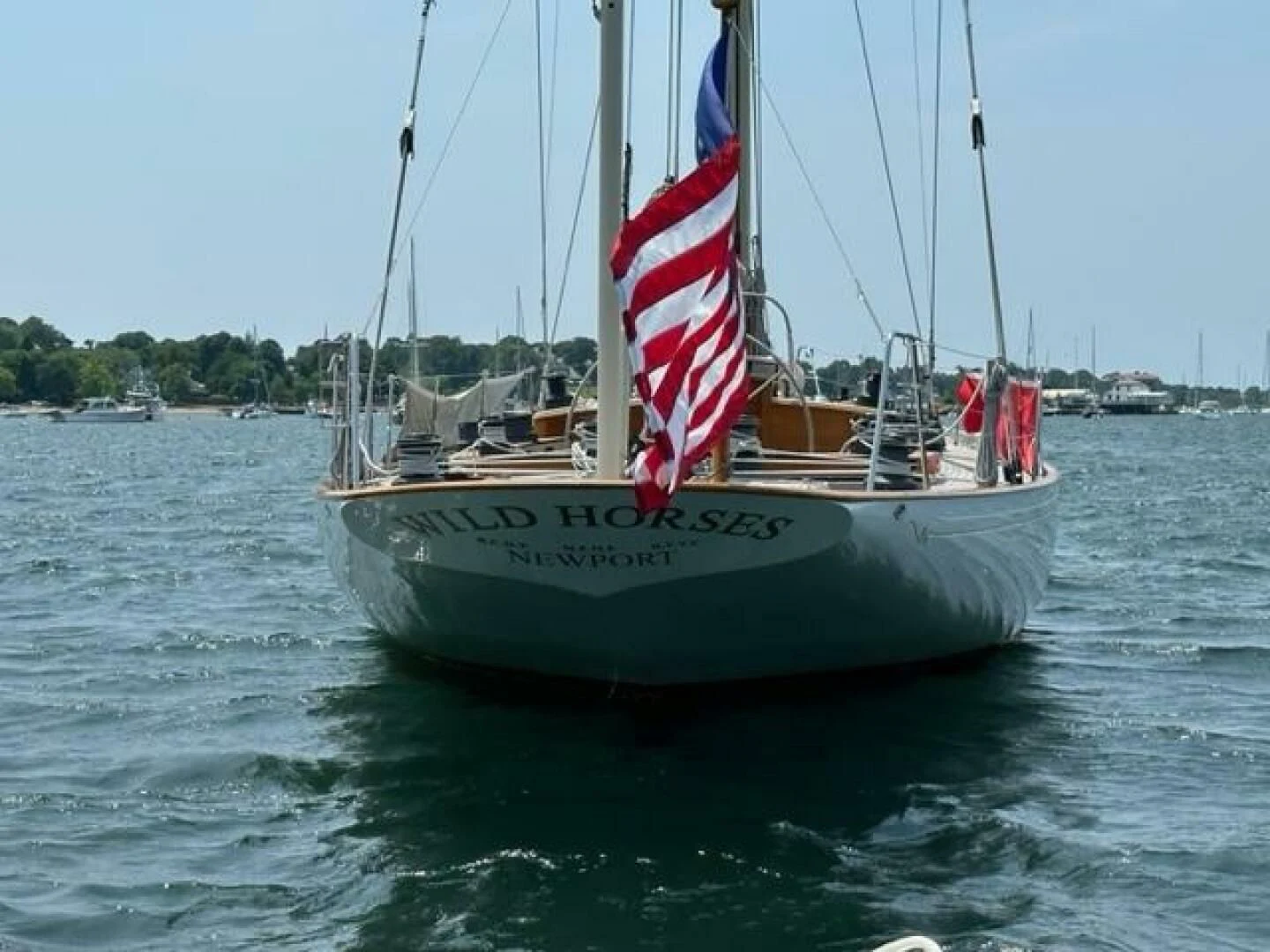 a sailboat on the water aboard WILD HORSES Yacht for Sale