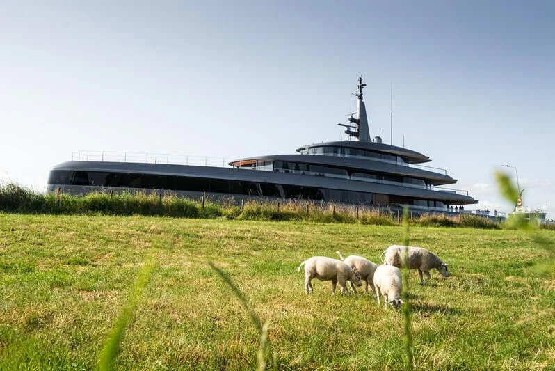sheep grazing in a field aboard OBSIDIAN Yacht for Sale
