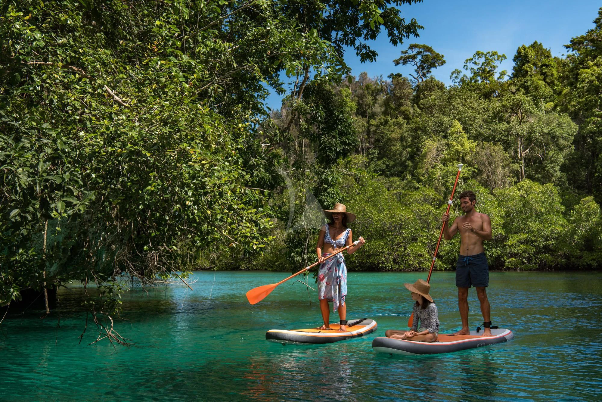 a group of people on paddle boards with a dog aboard SEQUOIA Yacht for Sale