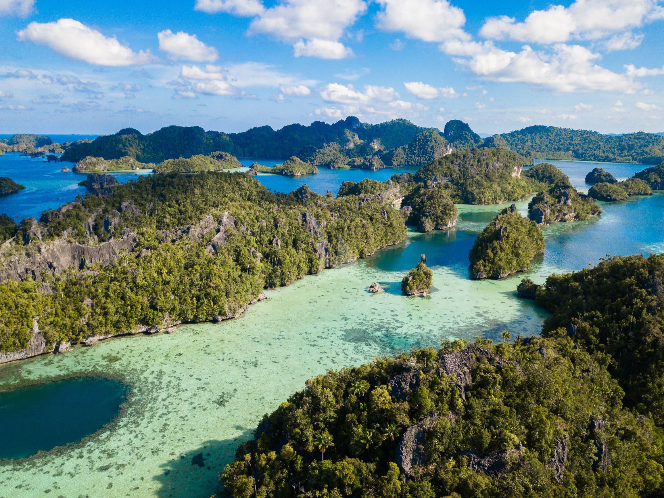 a body of water with trees around it with Raja Ampat Islands in the background aboard SEQUOIA Yacht for Sale