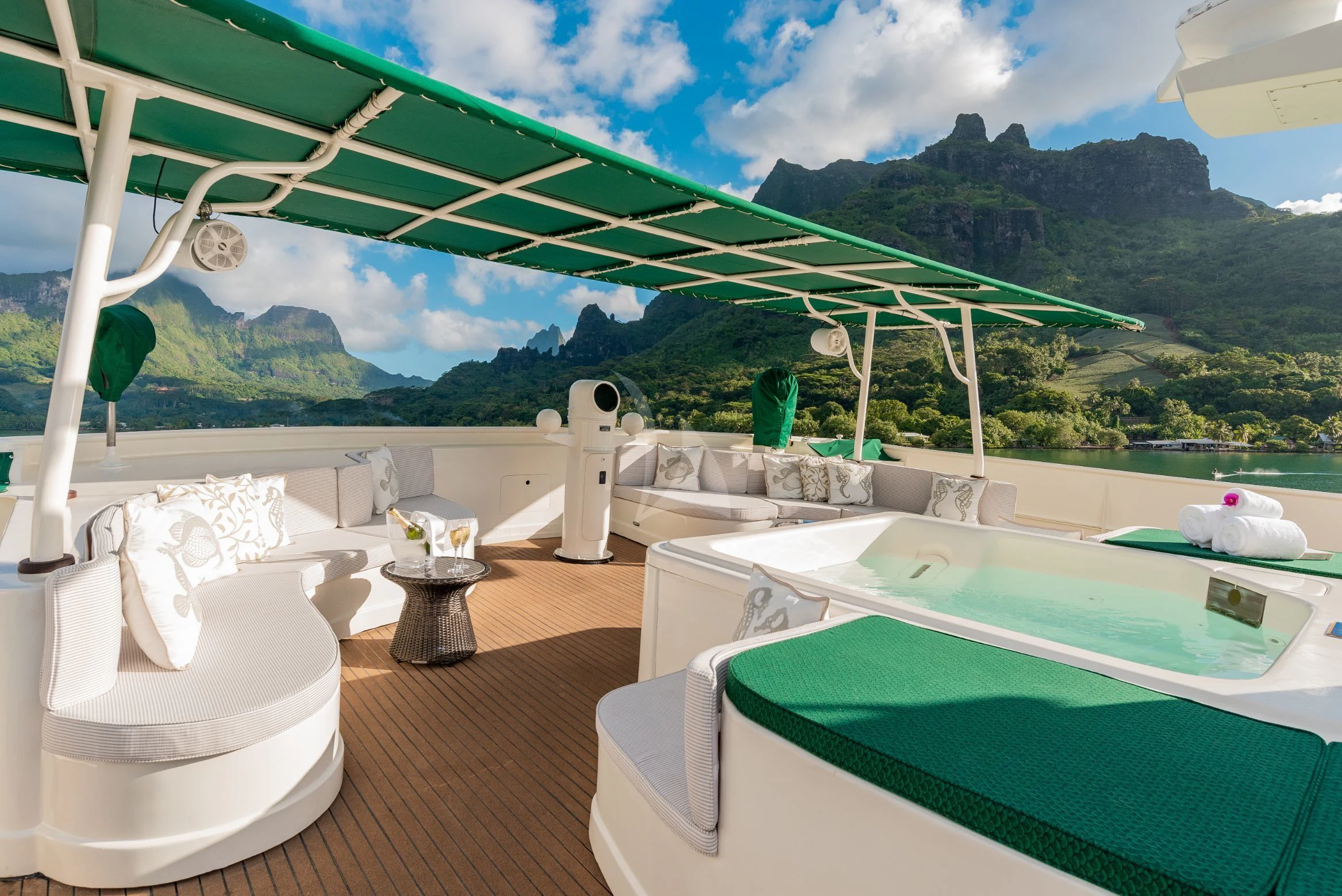 a room with a pool and a large green landscape aboard ASKARI Yacht for Sale