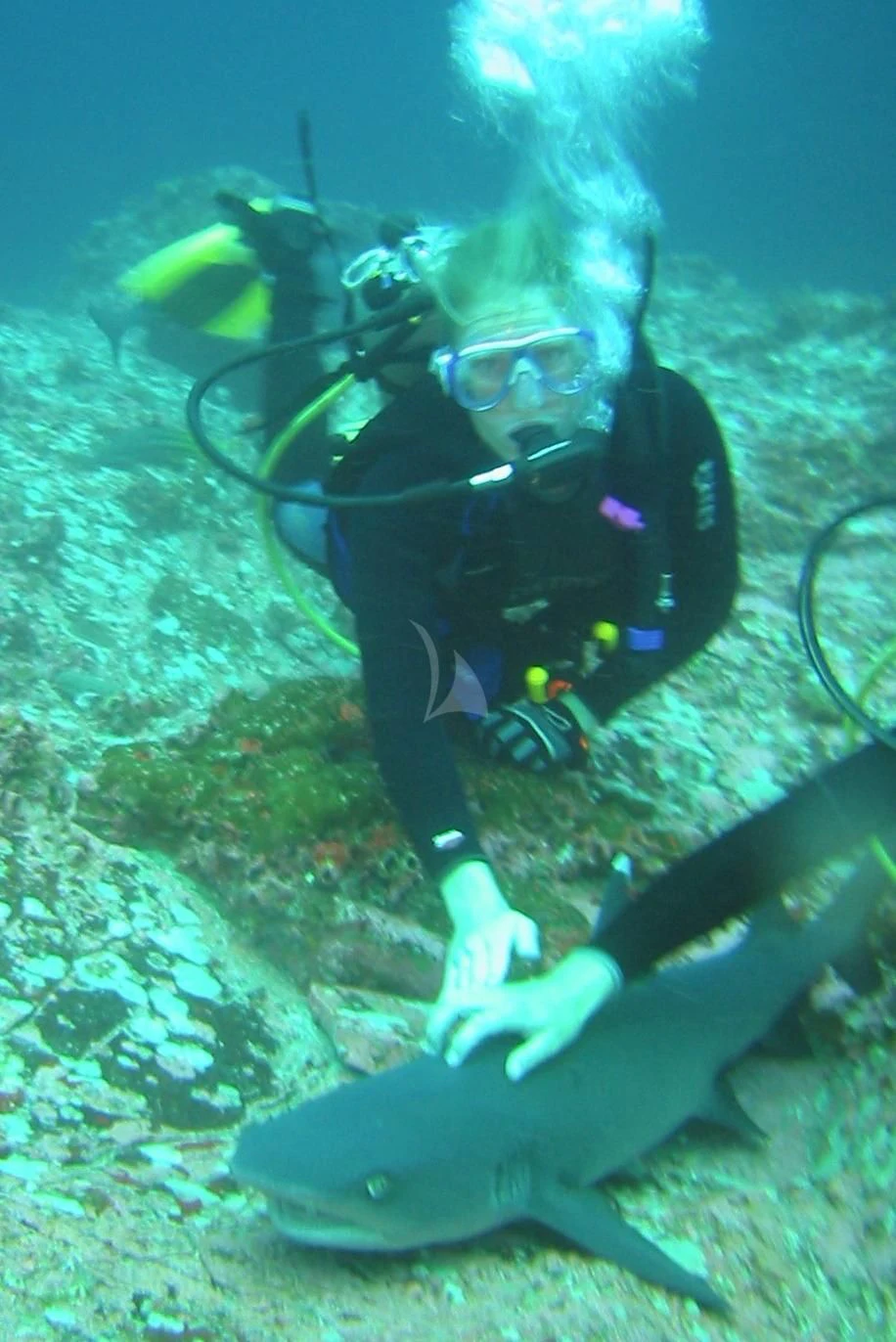 a scuba diver swimming underwater aboard ASKARI Yacht for Sale
