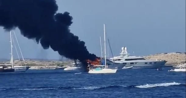 a whale jumping out of the water aboard IRMAO Yacht for Sale