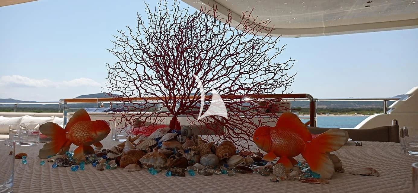 a group of orange and white fish in a tank aboard ASLEC 4 Yacht for Sale