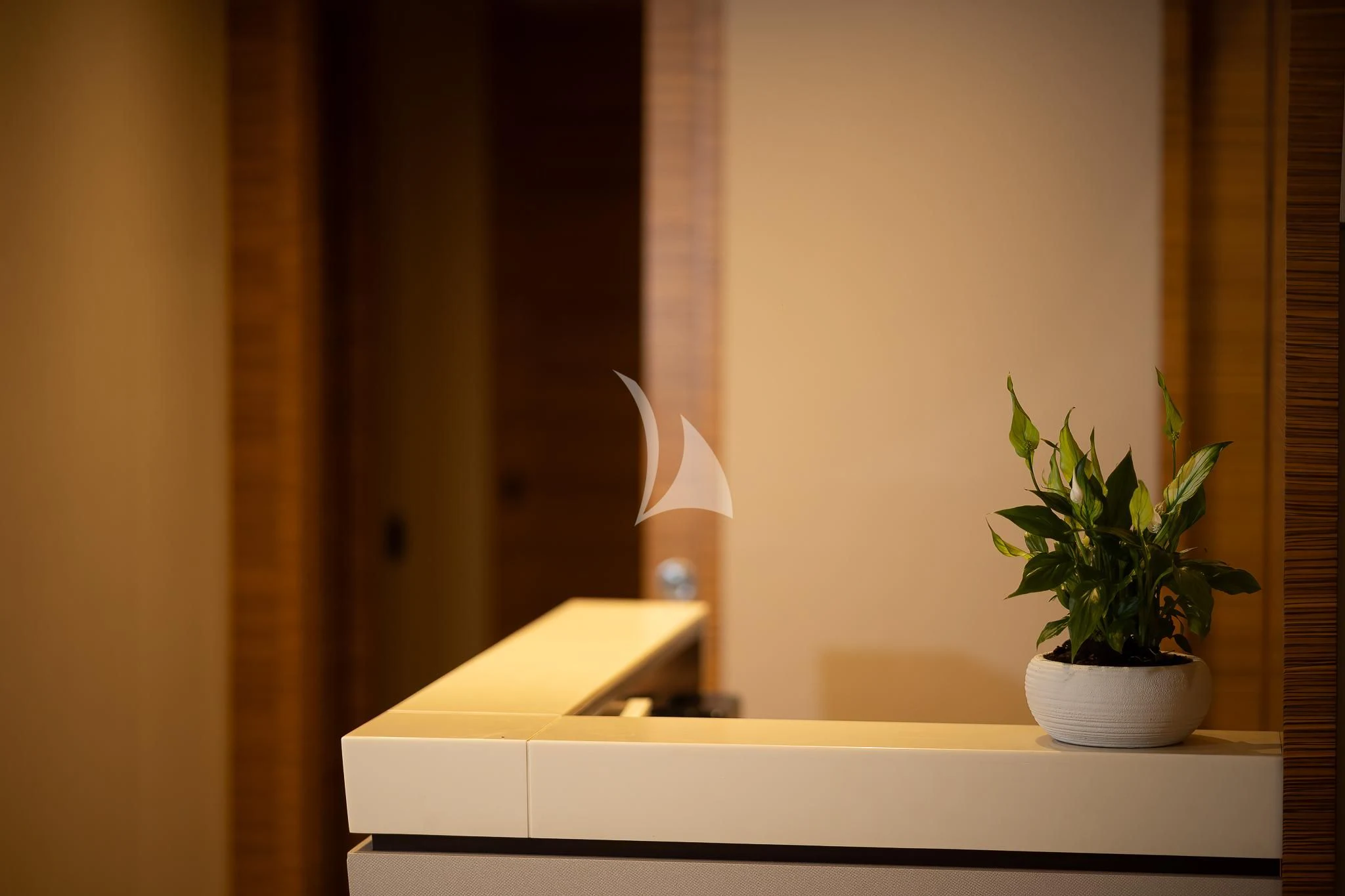 a potted plant on a counter aboard GIOE I Yacht for Sale