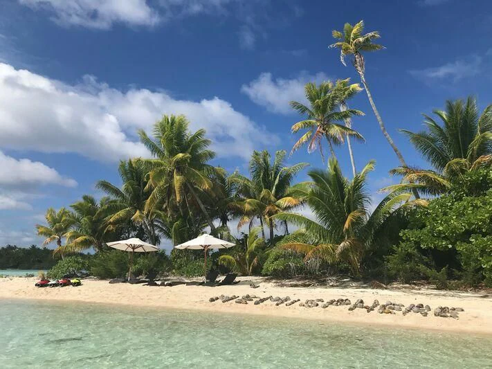 a beach with palm trees aboard HEMISPHERE Yacht for Sale