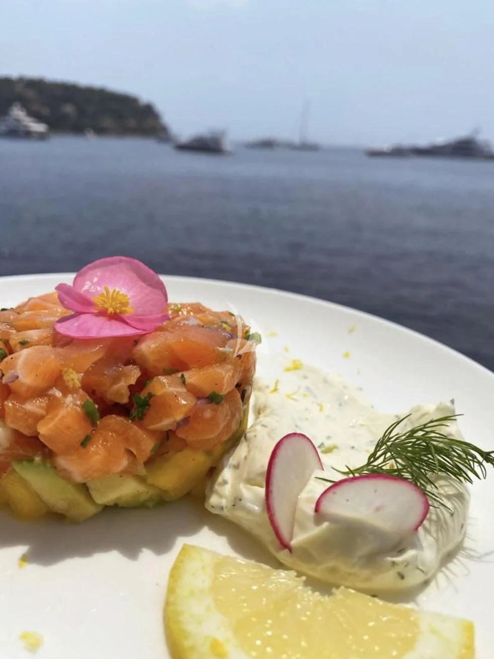 a plate of food aboard MIKEL ANGELO Yacht for Charter