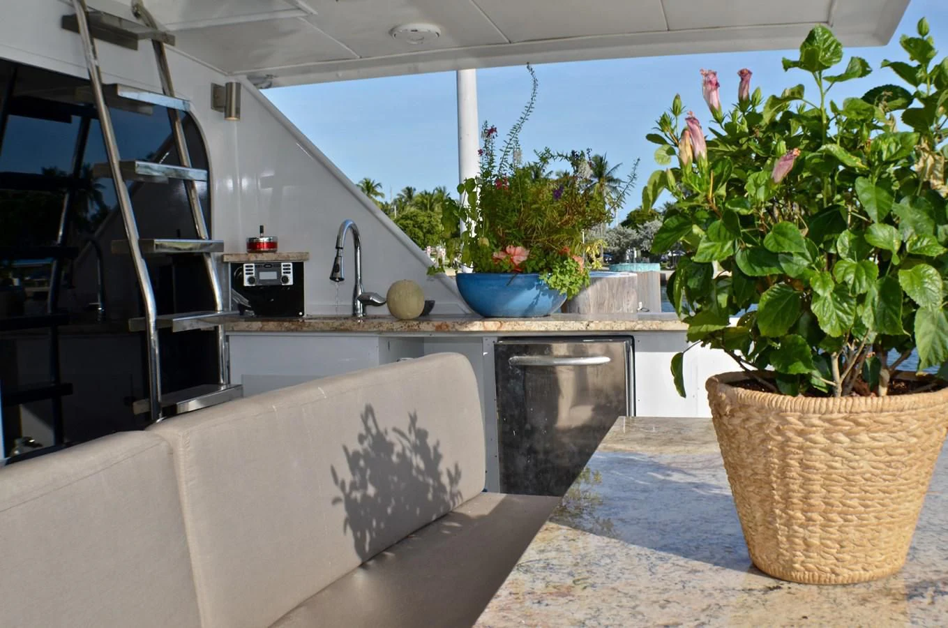 a kitchen with a large potted plant and a staircase aboard ISABELLA Yacht for Sale