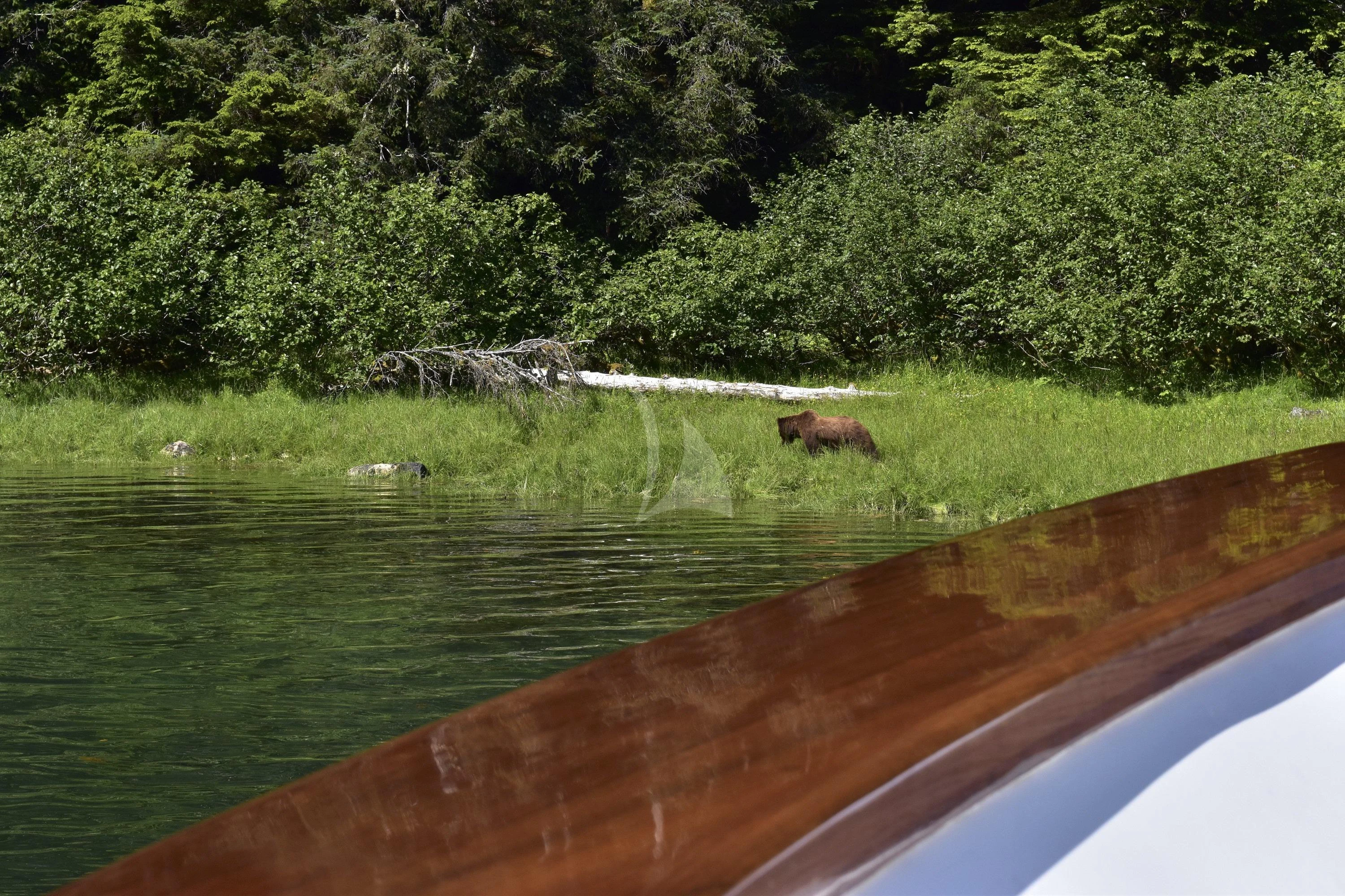 a river with a horse and a bridge aboard SERENITY Yacht for Charter