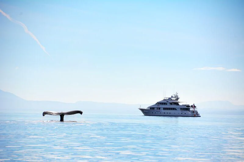 a boat in the water aboard SERENITY Yacht for Charter