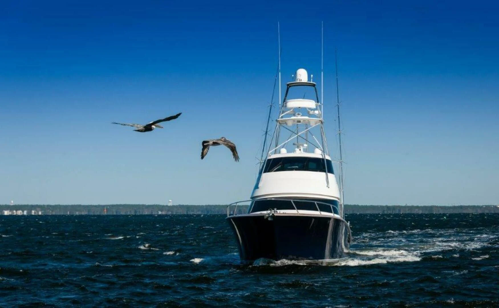a seagull flying next to a boat aboard POUR INTENTIONS Yacht for Sale