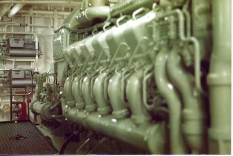 a large group of green onions aboard BASRAH BREEZE Yacht for Sale