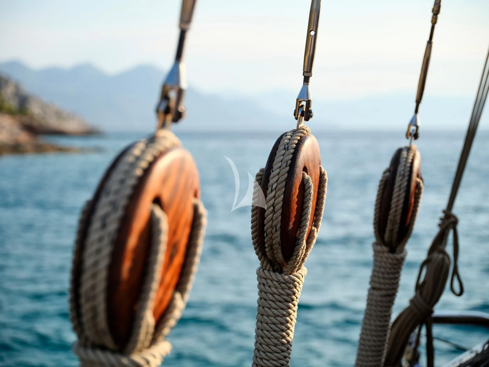 a close-up of a fish aboard MYRA Yacht for Sale
