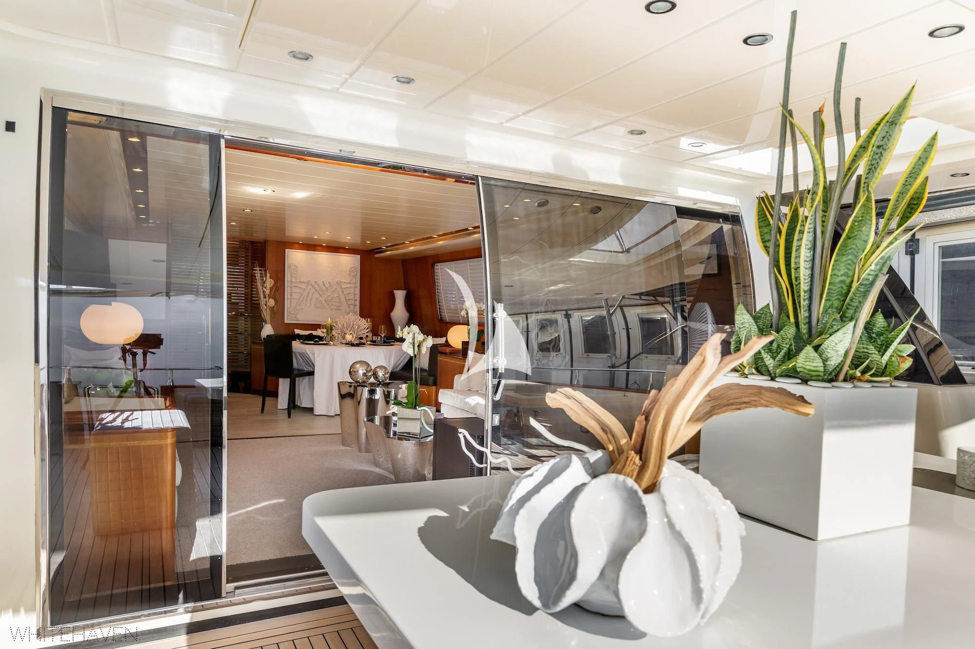 a large room with a plant in it aboard WHITEHAVEN Yacht for Sale