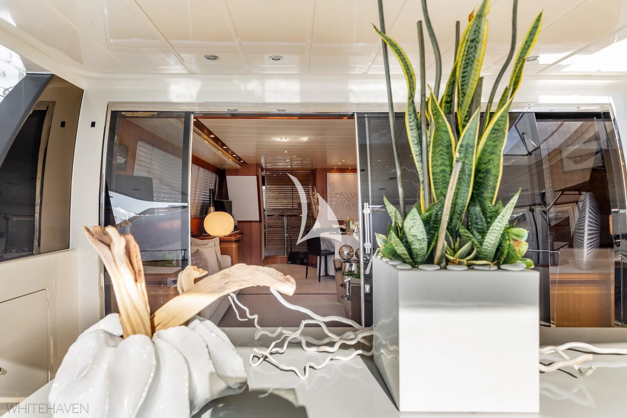 a room with a plant in it aboard WHITEHAVEN Yacht for Sale