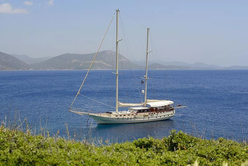 a boat on the water aboard COBRA III Yacht for Sale