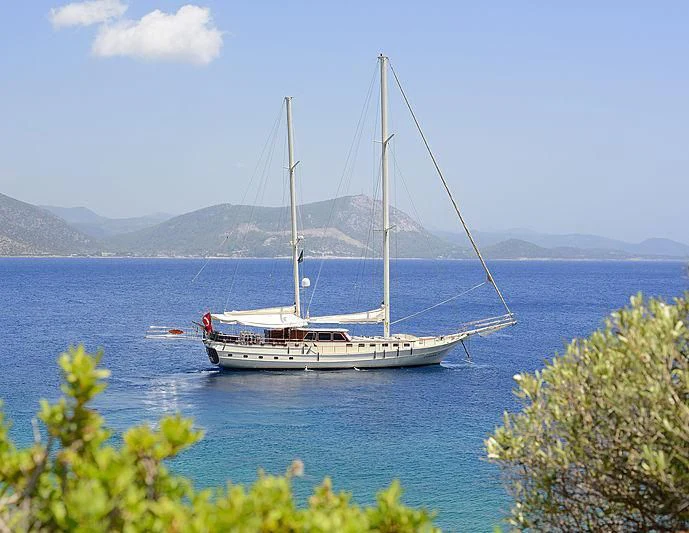 a boat on the water aboard COBRA III Yacht for Sale