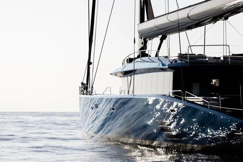 a large whale in the water aboard BETTER PLACE Yacht for Sale