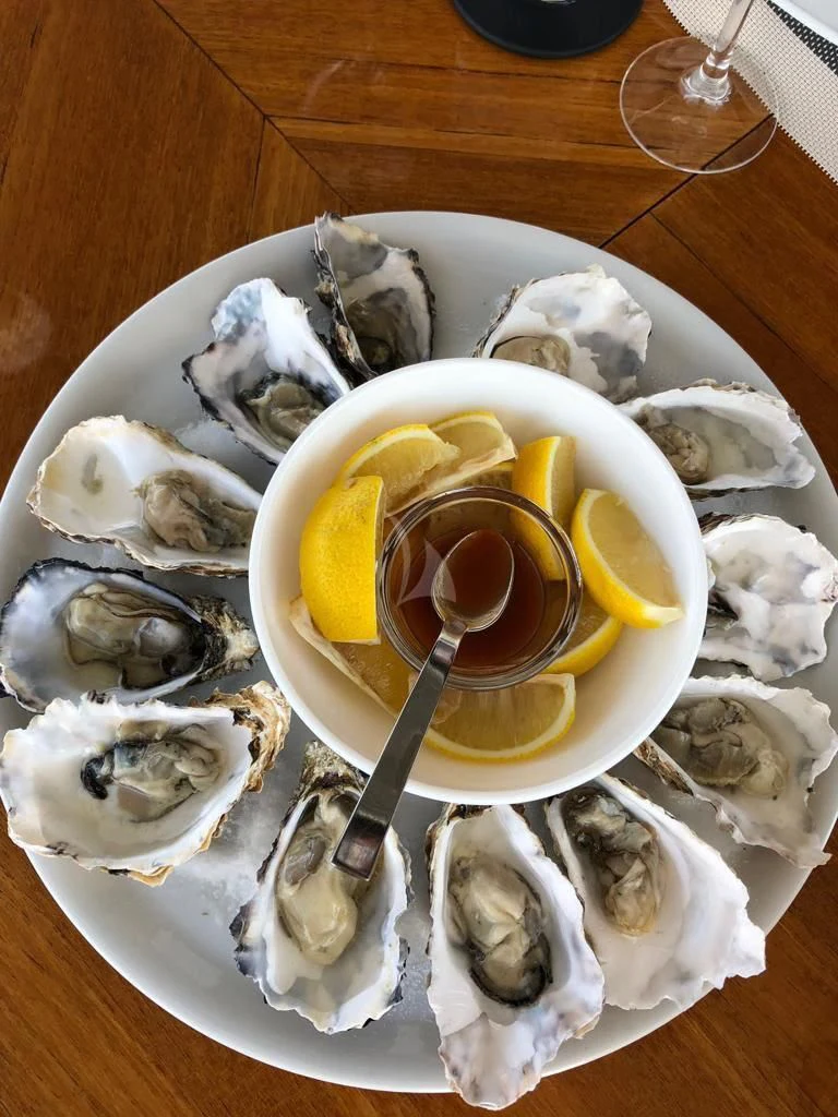 a plate of oysters on the half shell aboard SOLAL Yacht for Sale