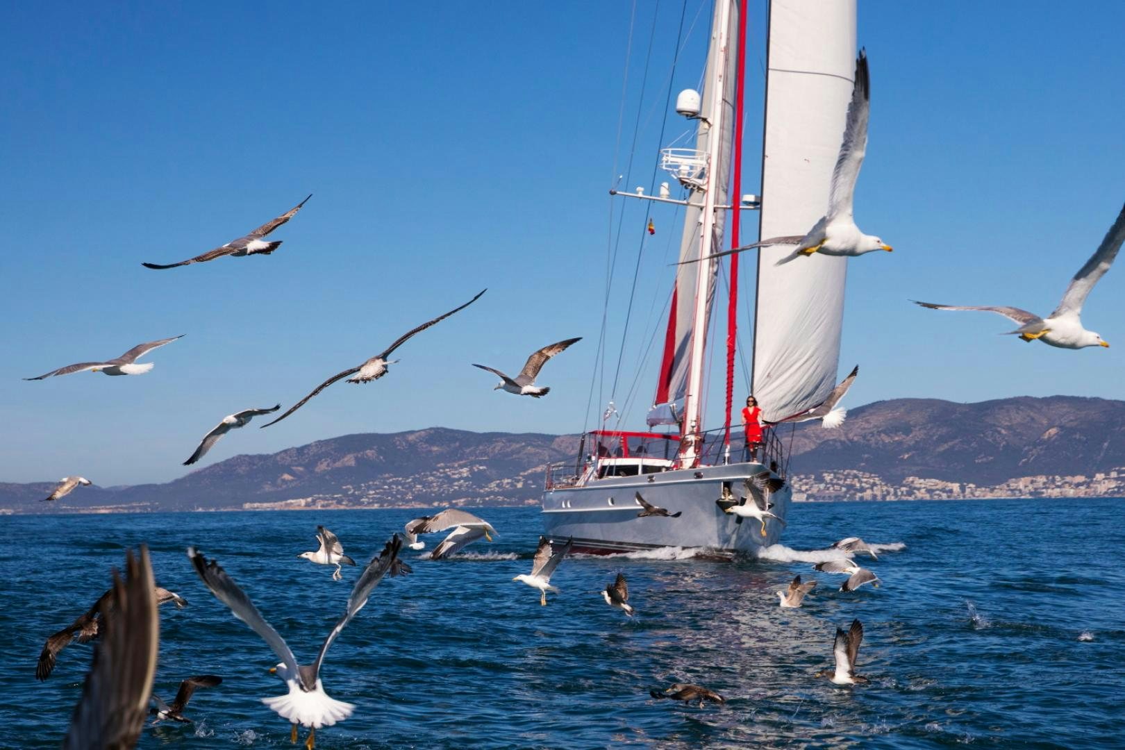 a boat in the water with birds flying around aboard ALTA MAREA Yacht for Sale