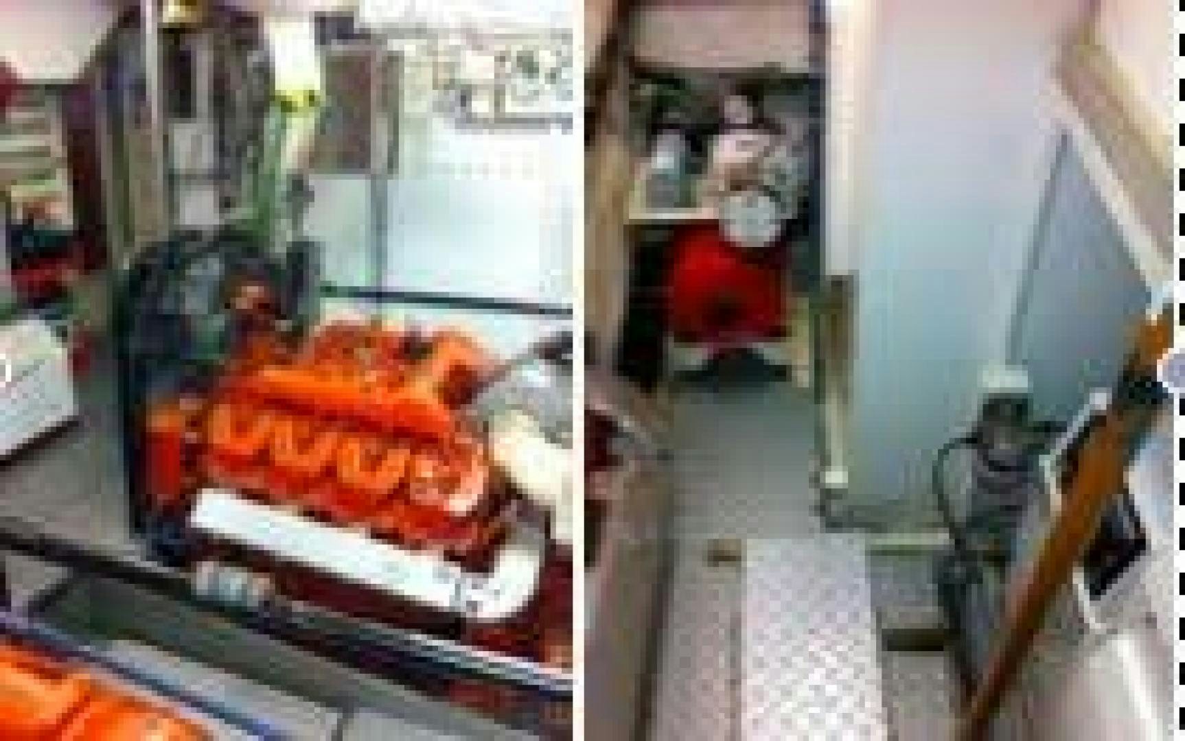 a large goldfish in a tank aboard EVA Yacht for Sale