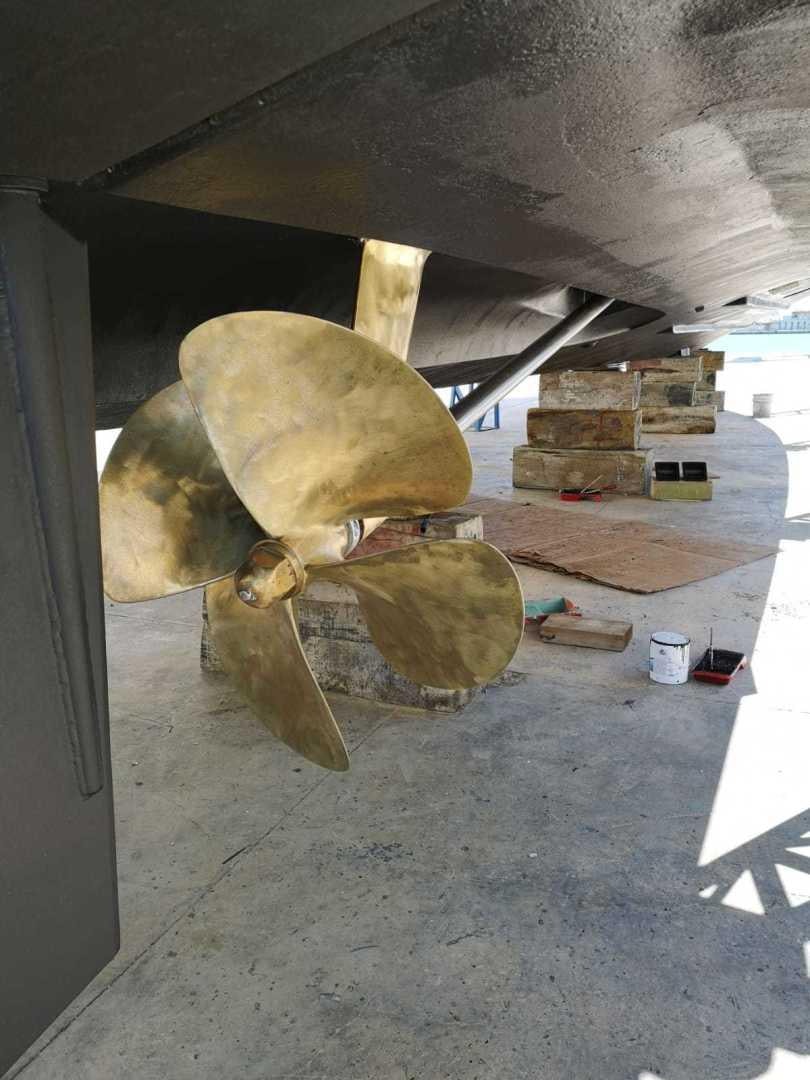 a large turtle under a bridge aboard HEMERA CUARTA Yacht for Sale